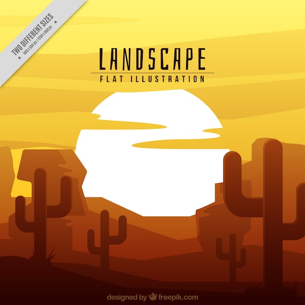 Desert background with cactus at sunset
