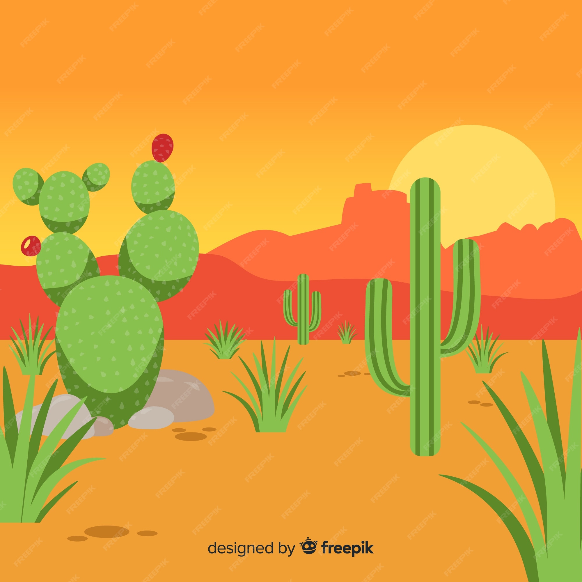 Free Vector | Desert cactus illustration