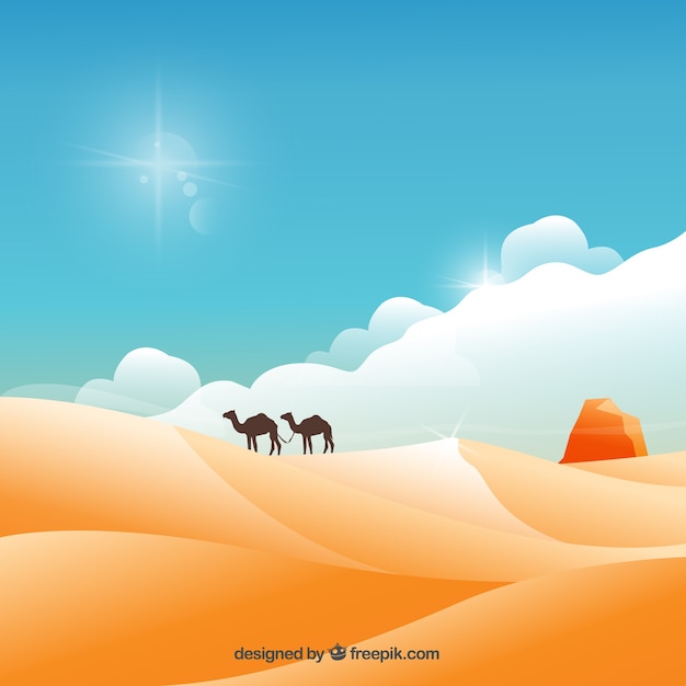 Desert landscape