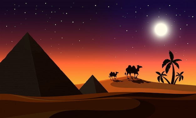 Premium Vector | A desert at night