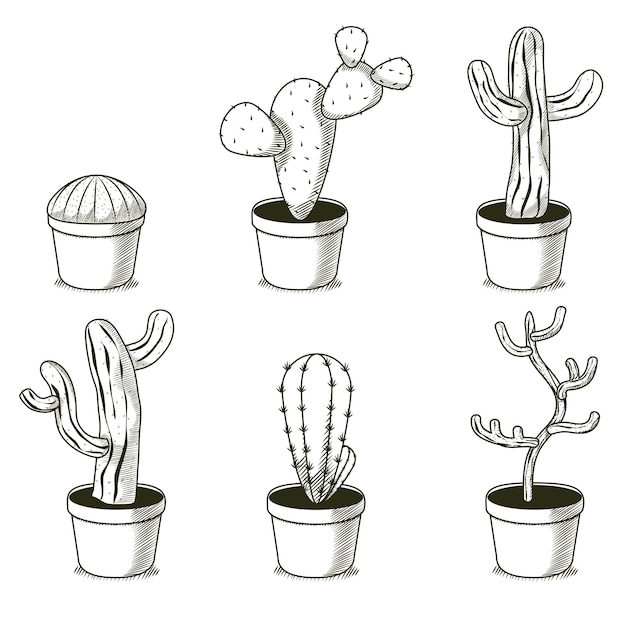 Premium Vector Desert plants hand drawn cartoons