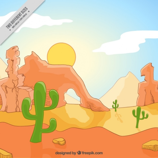 Desert with cacti on a sunny day