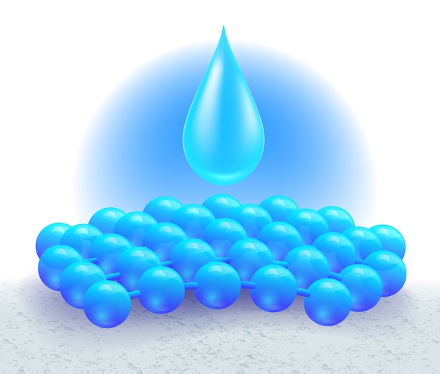 absorb water absorb water
