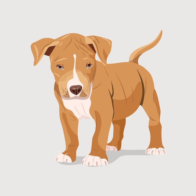 Free Vector Detailed Cute Pitbull Illustration