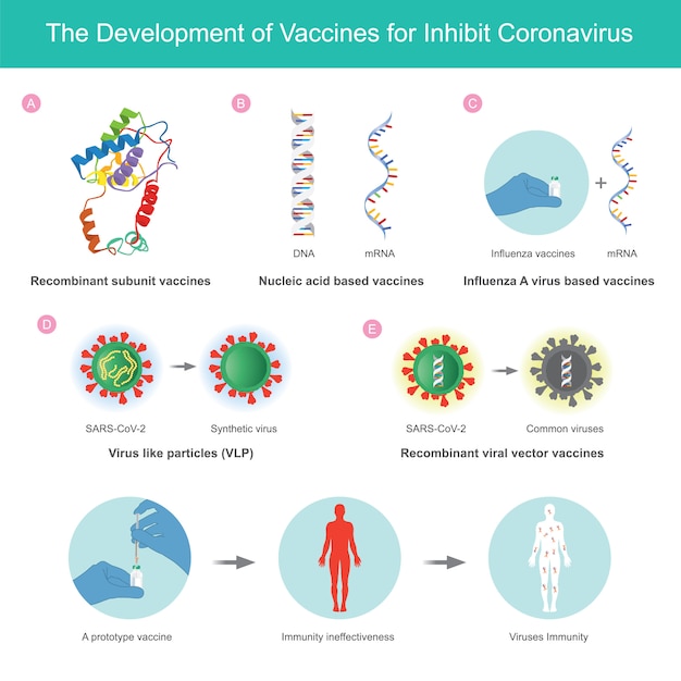 Premium Vector | The development of vaccines for inhibit coronavirus