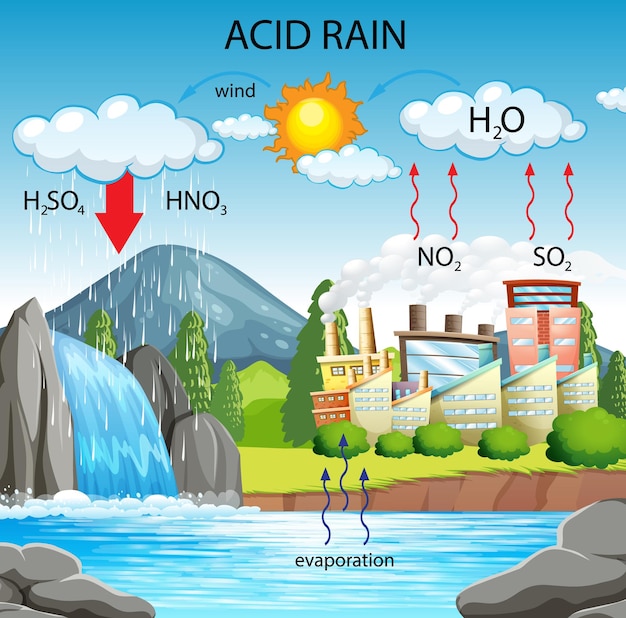 Free Vector Diagram showing acid rain pathway