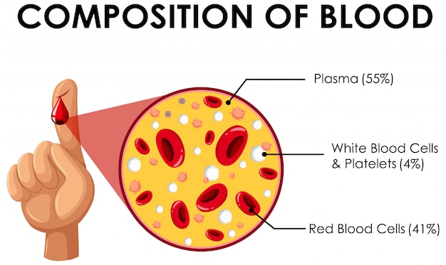 Blood Plasma Images Free Vectors Stock Photos Psd