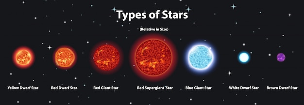 Diagram Showing Different Planets In The Solar System Vector