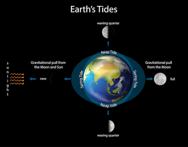 Free Vector Diagram Showing Earth Tides With Earth And Moon 2690