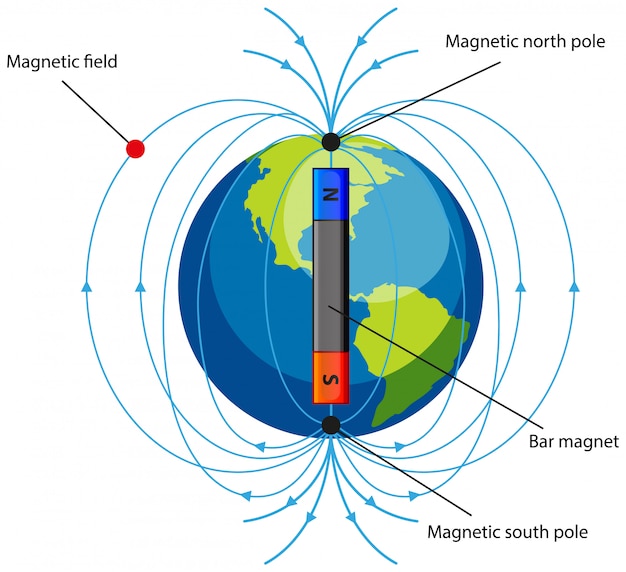 Diagram showing field on white Vector Free Download