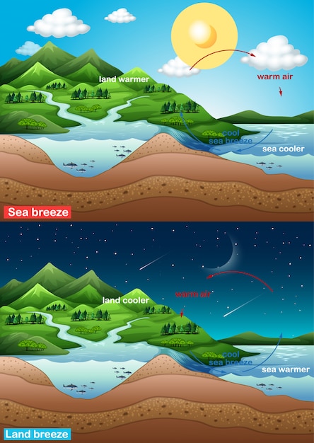 Science Land And Sea Breeze Diagram Worksheet