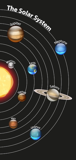 Premium Vector | Diagram showing the solar system