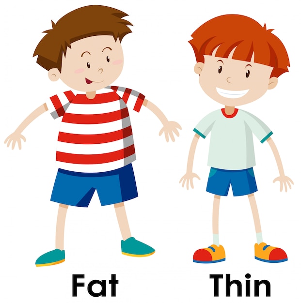 Fat And Thin Cartoon Images - Download in under 30 seconds