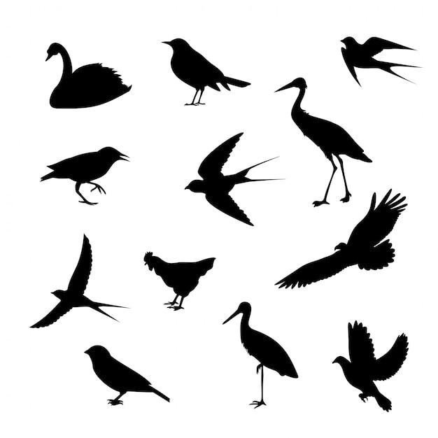 Download Different birds icons silhouettes isolated Vector ...