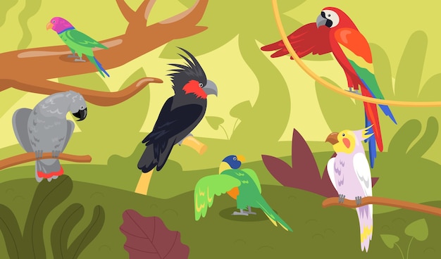 森やジャングルのさまざまな種類のオウム 野生の熱帯の鳥 エキゾチックな色とりどりのアラ コンゴウインコフラット漫画イラスト 無料のベクター