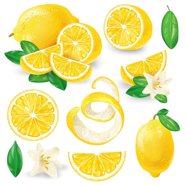 Free Vector | Different lemons with leaves and flowers vector