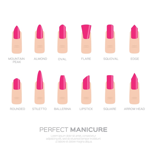 Premium Vector | Different nail shapes. woman fingers. fingernails ...