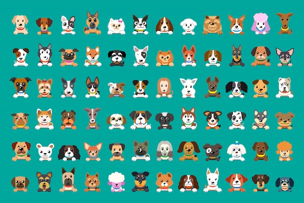 Premium Vector Different Type Of Vector Cartoon Dog Faces