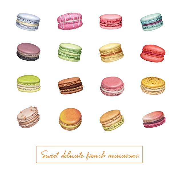Different types of macarons hand drawn illustration Premium Vector