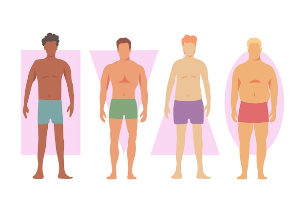 Free Vector | Different types of male body shapes