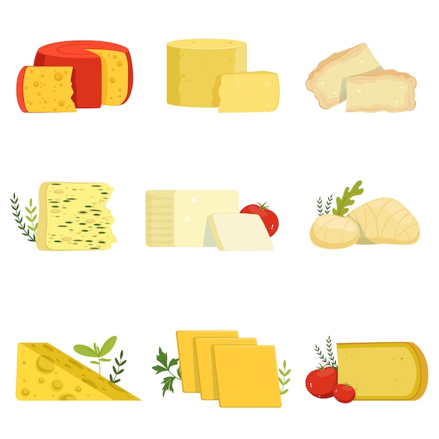 さまざまな種類のチーズ片 人気のある種類のチーズイラスト プレミアムベクター
