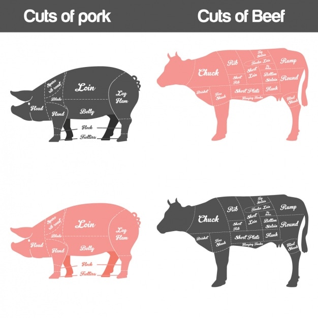 different-types-of-meat-vector-free-download