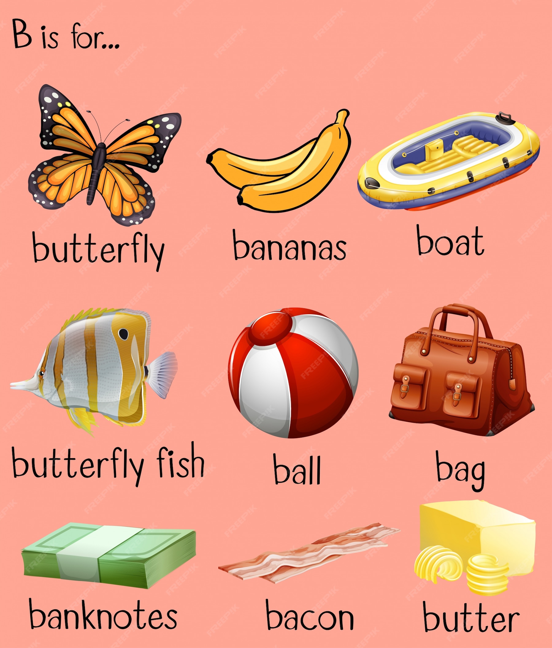 free-vector-different-words-for-alphabet-b