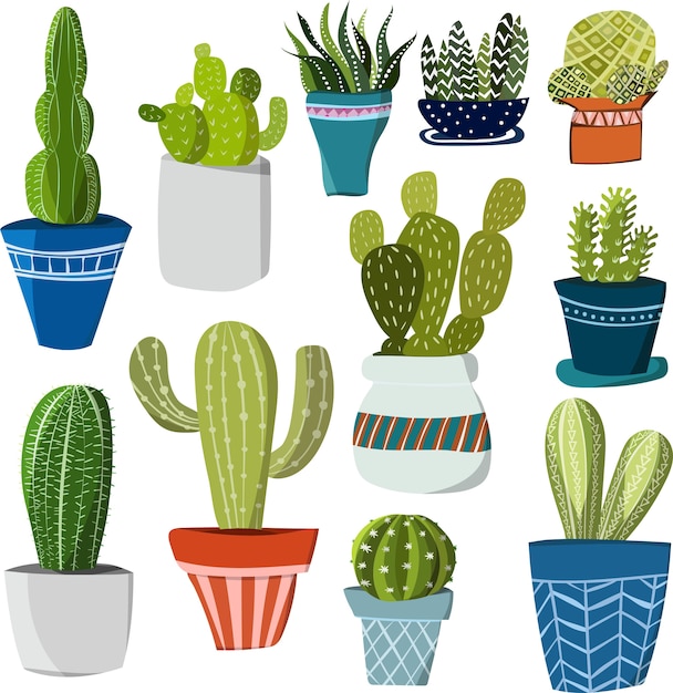 Premium Vector | Differents cactus