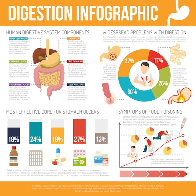 Digestion Infographic Set Vector | Free Download