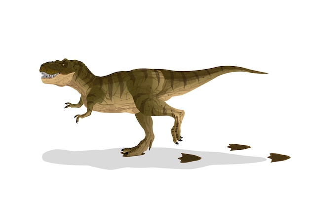 恐竜の漫画ティラノサウルスt Rexは足跡を散歩しました プレミアムベクター