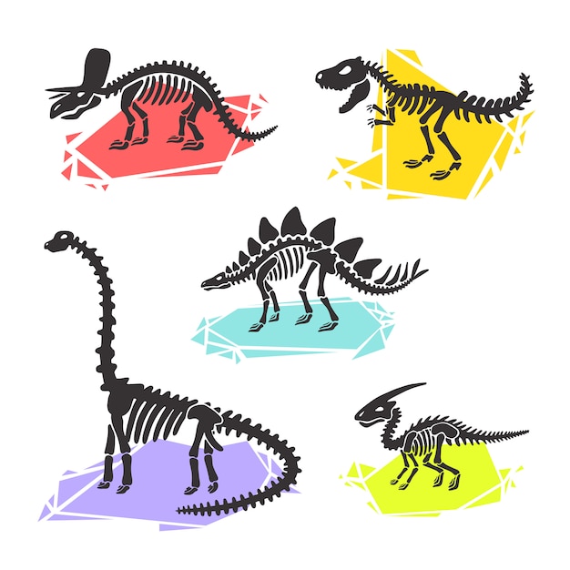 恐竜の骨格は ディプロドクス トリケラトプス T レックス ステゴサウルス パラサウロロフスを設定します カラークリスタルのイラスト プレミアムベクター