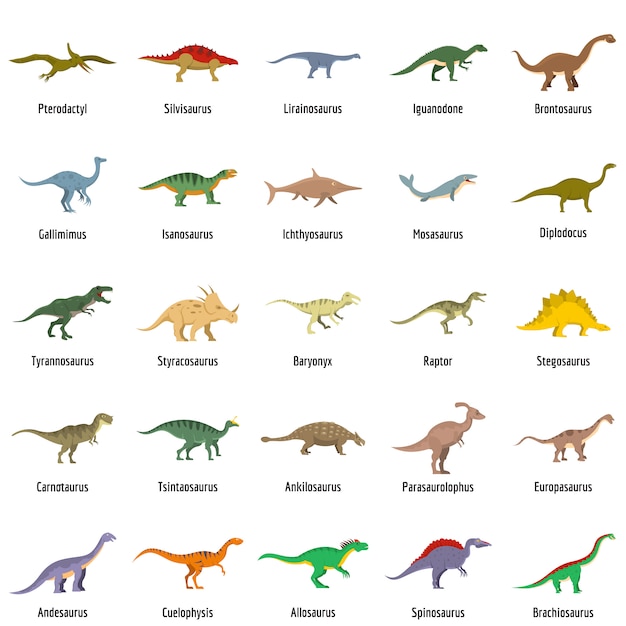 種類 恐竜