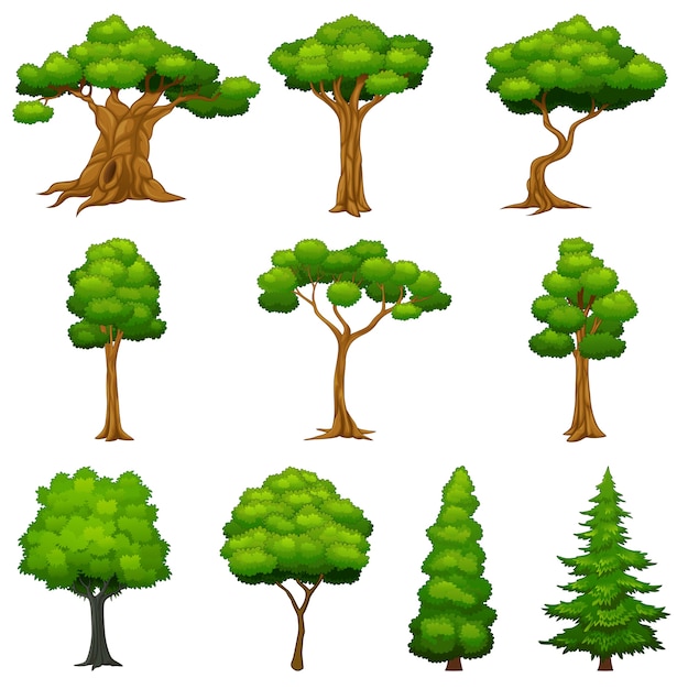 Premium Vector | Diversity of trees set
