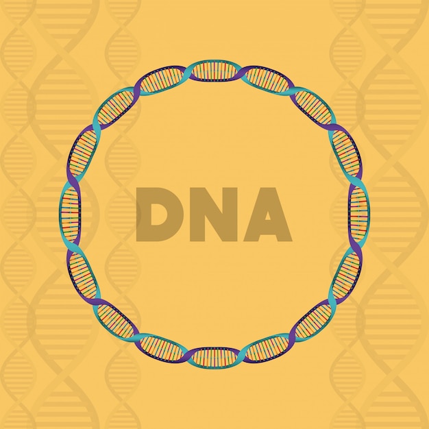 Premium Vector Dna Molecule Circular Structure