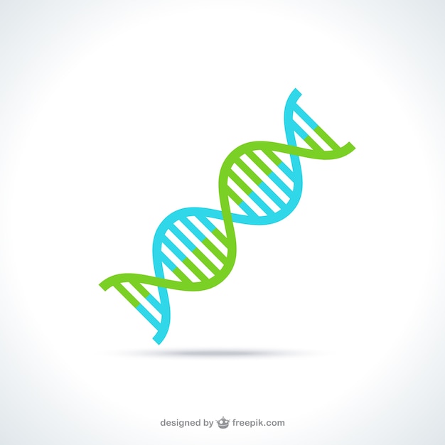 Dna Vectors Photos and PSD files Free Download