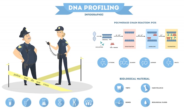 dna in criminal investigations research paper