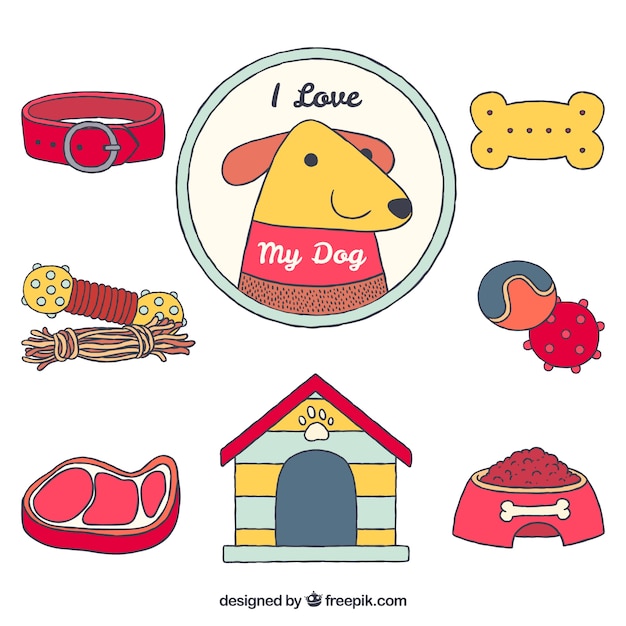 Dog Accessories Collection