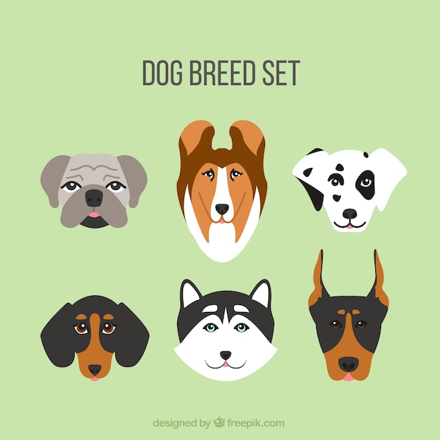 Dog breed set in flat design