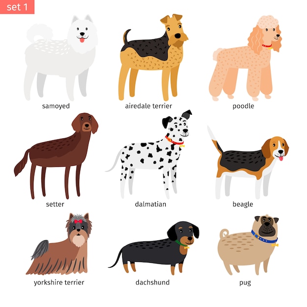 Premium Vector | Dog breeds cartoon icon