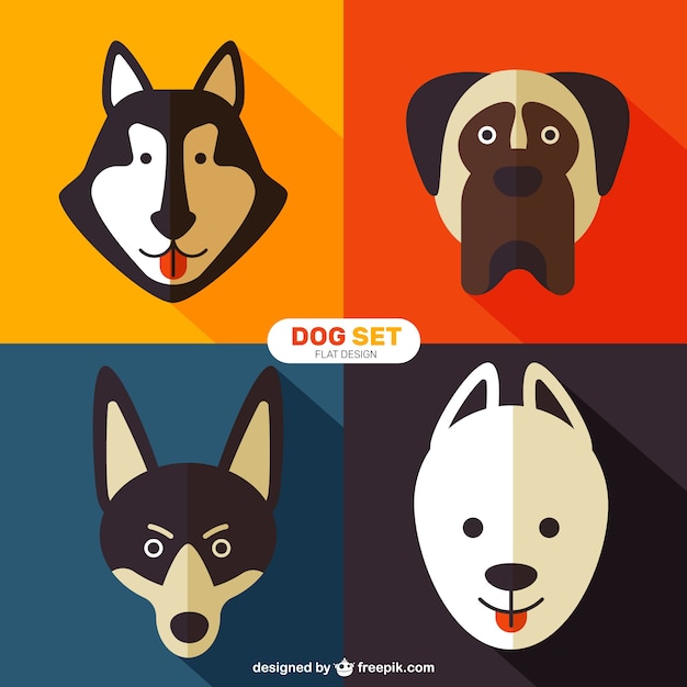 Dog breeds in flat style