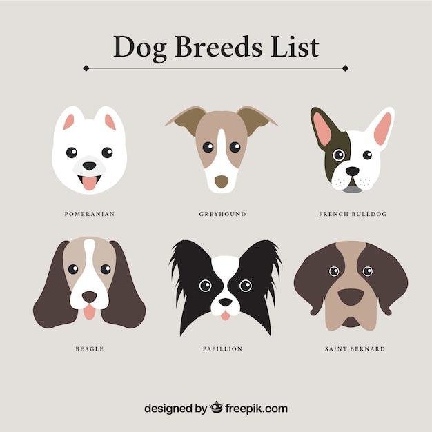 Dog breeds list