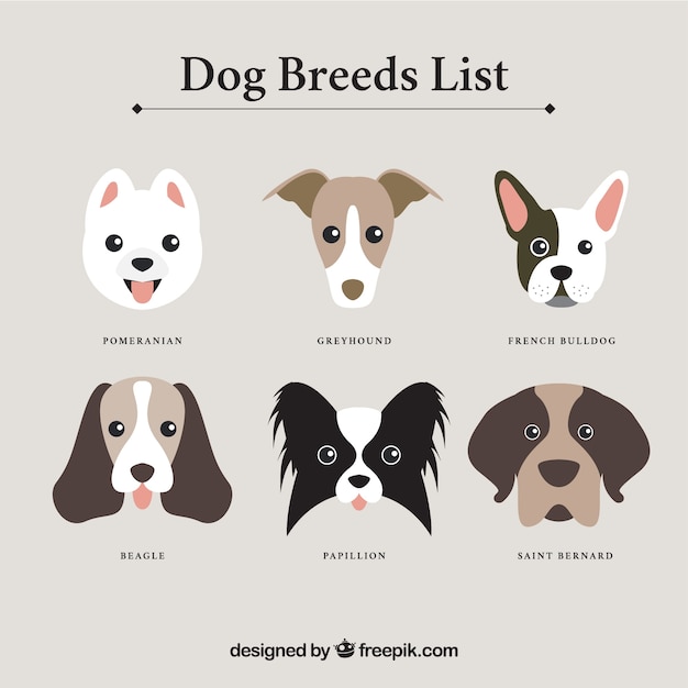 list of all dog breeds