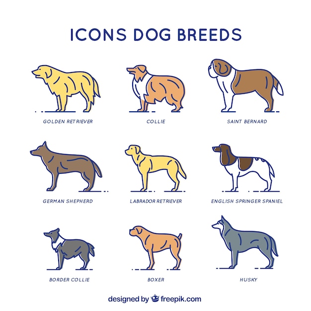 Dog breeds