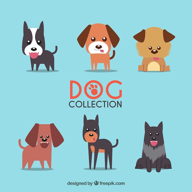Dog collection in flat design