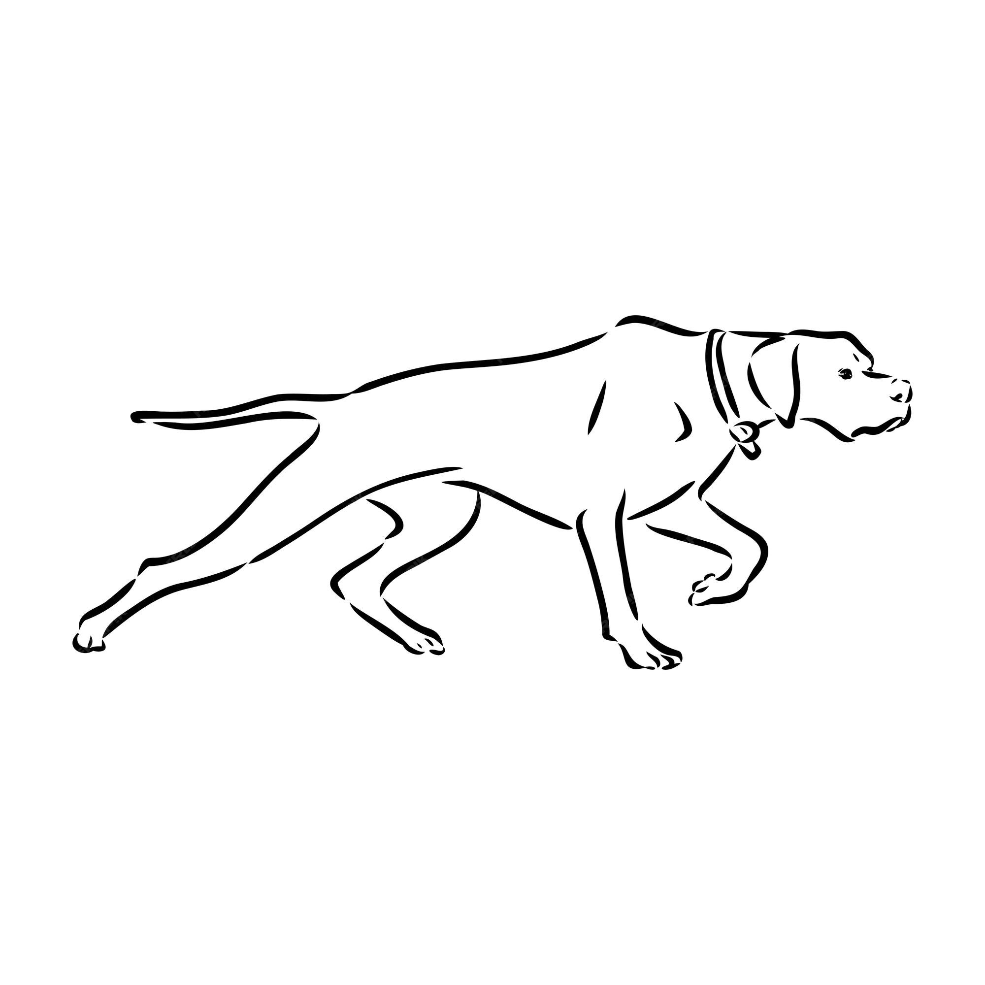 Premium Vector Dog Hand Drawn Pointer Vector Illustration Isolated