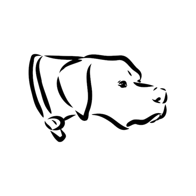 Premium Vector | Dog Hand Drawn Pointer Vector Illustration Isolated