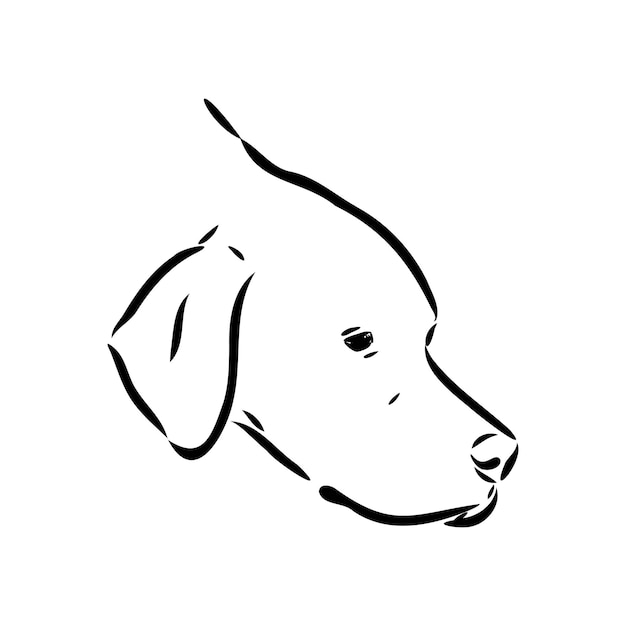 Premium Vector | Dog Hand Drawn Pointer Vector Illustration Isolated