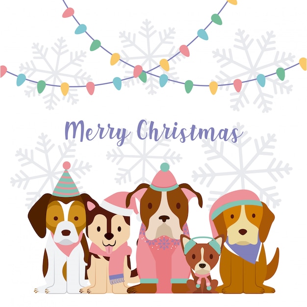 Premium Vector | Dog merry christmas card