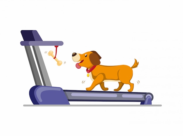 骨を得るためにトレッドミルで走っている犬 家で走ったり歩いたりする犬の訓練 白い背景で分離された漫画フラットイラスト プレミアムベクター