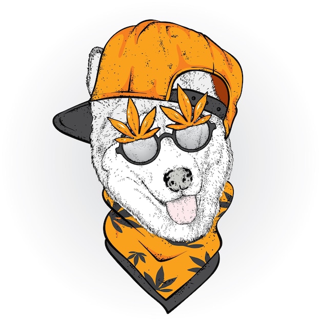 Premium Vector Dog in a stylish cap